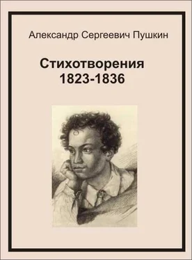 Александр Пушкин Стихотворения 1823-1836 обложка книги