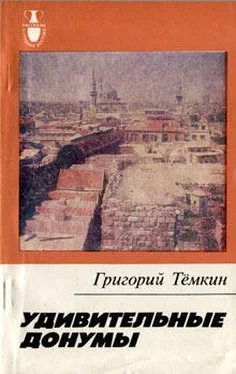 Григорий Тёмкин Удивительные донумы обложка книги