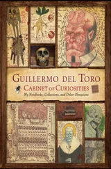 Guillermo del Toro - Cabinet of Curiosities