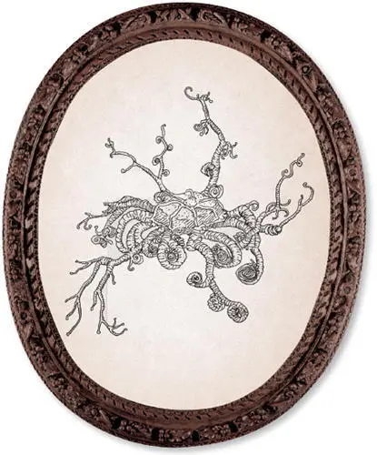 A sketch of a basket star by del Toro after a photograph in National - фото 38