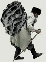 Del Toro drew on Renaissance dress codes and historic whaling gear to keep the - фото 403