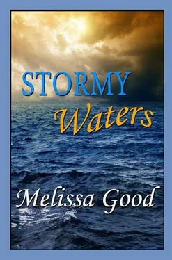 Good, Melissa Stormy Waters: Book 10 in The Dar & Kerry Series обложка книги