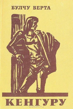 Булчу Берта Кенгуру обложка книги