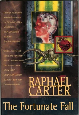 Raphael Carter The Fortunate Fall обложка книги