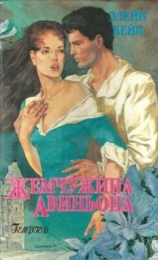 Элейн Кейн Жемчужина Авиньона обложка книги