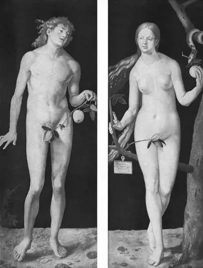 Адам и Ева Диптих работы А Дюрера 1507 Кстати Бог выгнал Адама и Еву из - фото 1