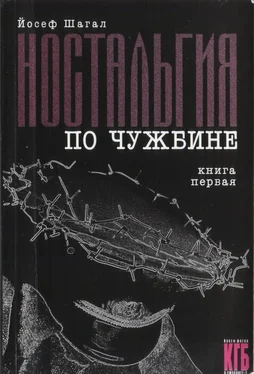 Йосеф Шагал Ностальгия по чужбине. Книга первая обложка книги