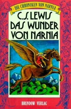 Clive Lewis Das Wunder von Narnia обложка книги