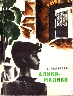 Самуил Полетаев Алики-малики обложка книги