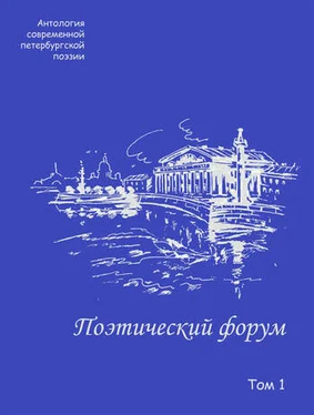 Коллектив авторов Поэтический форум. Антология современной петербургской поэзии. Том 1 обложка книги