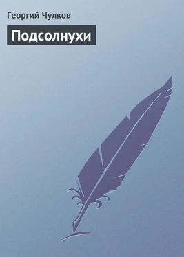 Георгий Чулков Подсолнухи обложка книги