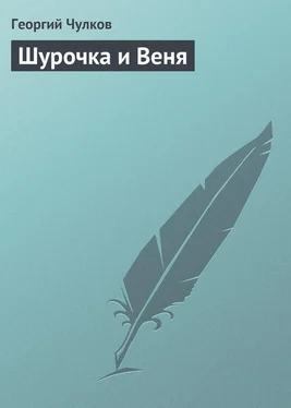 Георгий Чулков Шурочка и Веня обложка книги