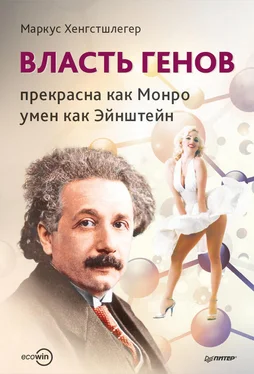 Маркус Хенгстшлегер Власть генов: прекрасна как Монро, умен как Эйнштейн обложка книги