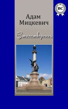 Адам Мицкевич Стихотворения обложка книги