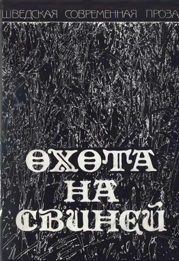 Биргитта Тротциг Охота на свиней обложка книги