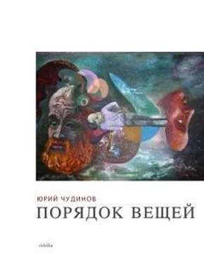 Юрий Чудинов Порядок вещей обложка книги