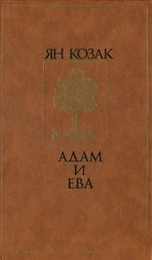 Ян Козак Адам и Ева обложка книги