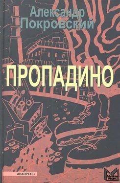 Александр Покровский Пропадино. История одного путешествия обложка книги