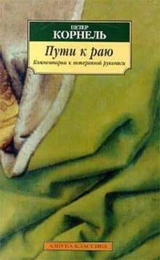 Петер Корнель Петер Корнель. Пути к раю обложка книги