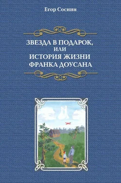 Егор Соснин Звезда в подарок, или История жизни Франка Доусана обложка книги