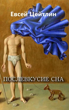 Евсей Цейтлин Послевкусие сна (сборник) обложка книги