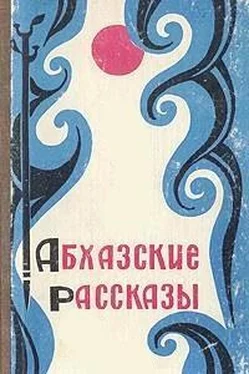 А. Аншба Абхазские рассказы обложка книги