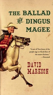 David Markson The Ballad of Dingus Magee обложка книги