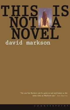 David Markson This is Not a Novel обложка книги