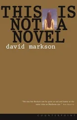 David Markson - This is Not a Novel
