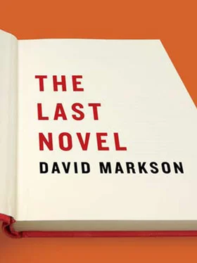 David Markson The Last Novel обложка книги