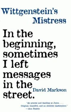 David Markson Wittgenstein's Mistress обложка книги