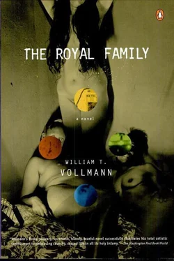 William Vollmann The Royal Family обложка книги