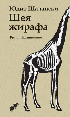 Юдит Шалански Шея жирафа обложка книги