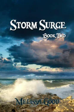 Melissa Good Storm Surge - Part 2 обложка книги