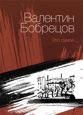 Валентин Бобрецов Это самое (сборник) обложка книги