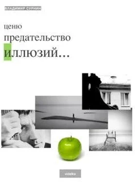 Владимир Сурнин Ценю предательство иллюзий (сборник) обложка книги