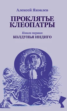 Алексей Яковлев Колдунья-индиго обложка книги