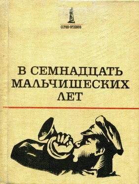 Владислав Гравишкис В семнадцать мальчишеских лет обложка книги