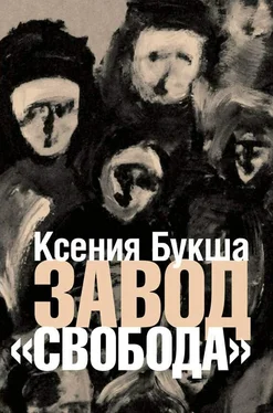 Ксения Букша Завод «Свобода» обложка книги