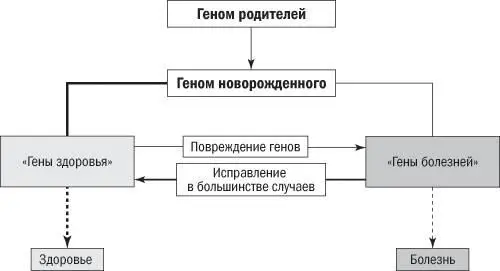 Рис 83Генетический детерминизм Здоровье и заболевания в основном - фото 23