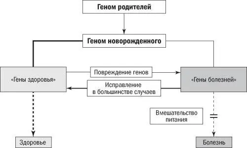 Рис 84Диетологический детерминизм Здоровье и заболевания начинаются с - фото 24