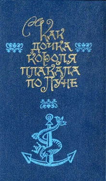 Элинор Фарджин Как дочка короля плакала по Луне обложка книги