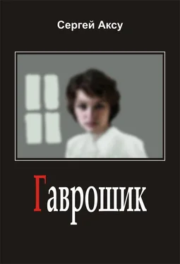 Сергей Аксу Гаврошик обложка книги