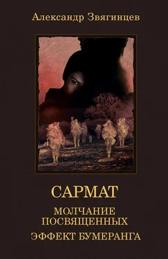 Александр Звягинцев Молчание посвященных. Эффект бумеранга (сборник) обложка книги