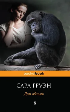 Сара Груэн Дом обезьян обложка книги