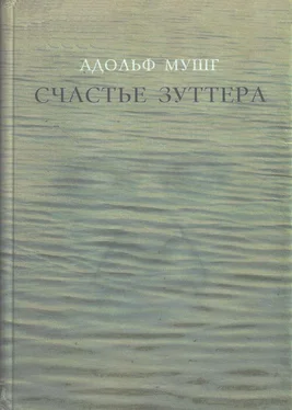 Адольф Мушг Счастье Зуттера обложка книги