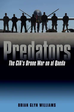 Brian Williams Predators обложка книги