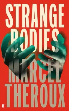 Marcel Theroux Strange Bodies обложка книги