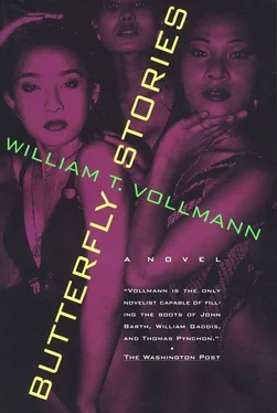 William Vollmann Butterfly Stories обложка книги