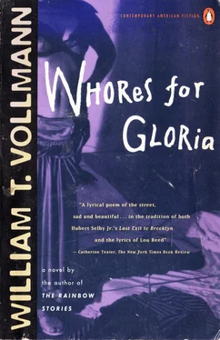 William Vollmann Whores for Gloria обложка книги